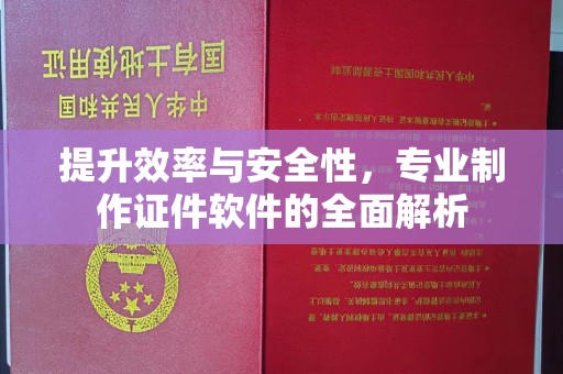 临高提升效率与安全性，专业制作证件软件的全面解析